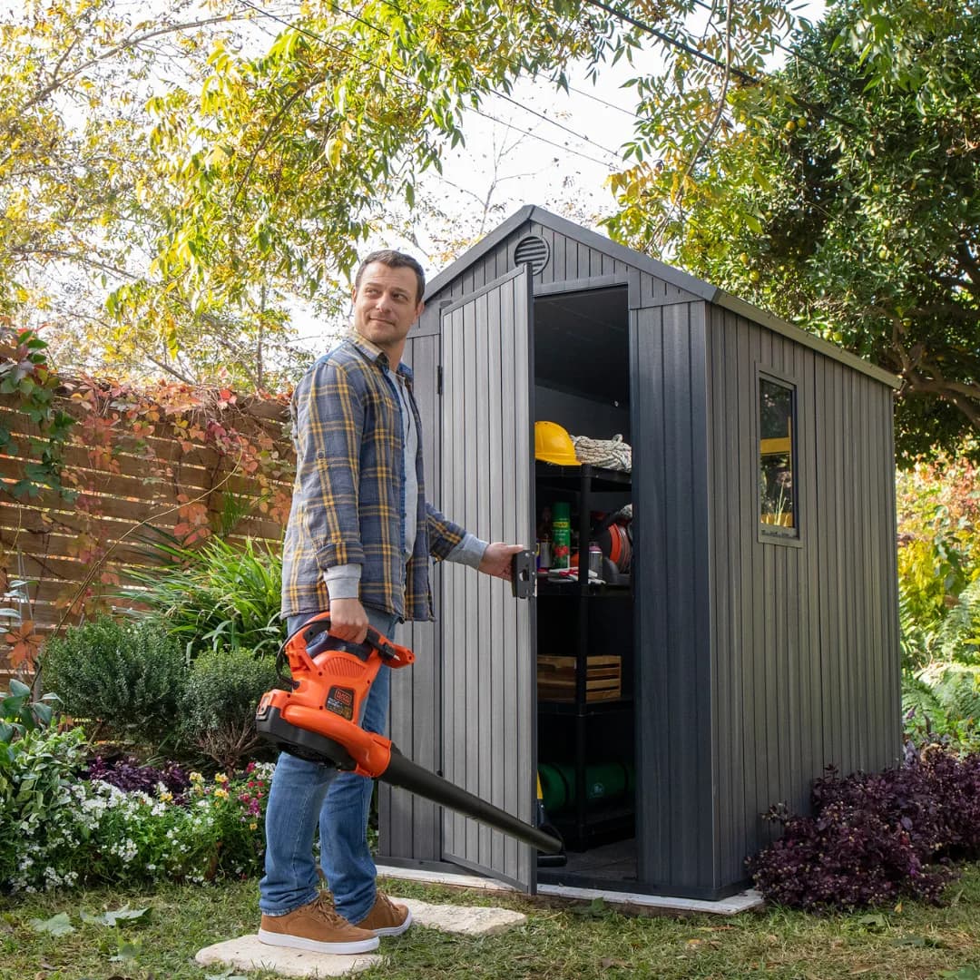 Darwin 4x6ft Shed — photo 5 of 10