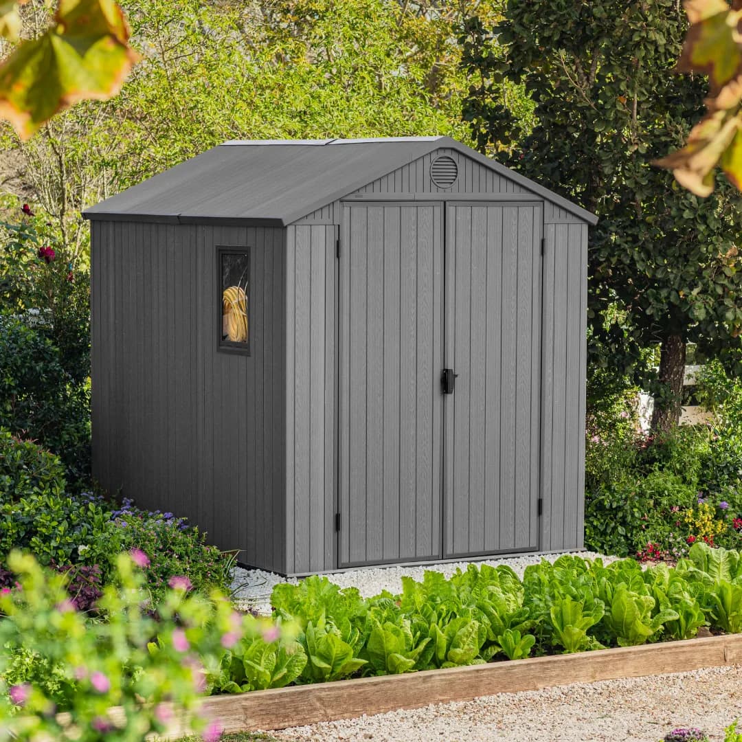 Darwin 6x8ft Shed — photo 4 of 9