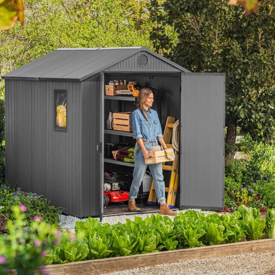 Darwin 6x8ft Shed — photo 5 of 9