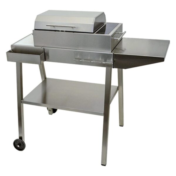Kenyon Frontier 21-Inch Portable Electric Grill with IntelliKEN Touch Control